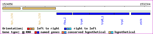 gene map
