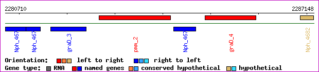 gene map
