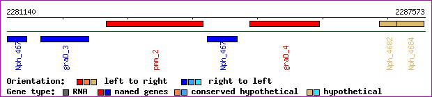 gene map