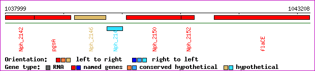 gene map