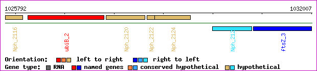 gene map