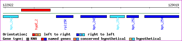 gene map