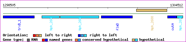 gene map