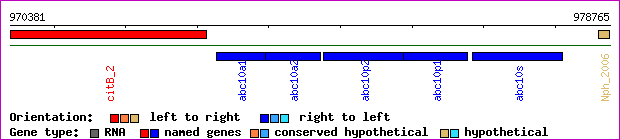 gene map