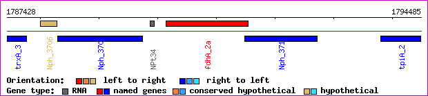 gene map
