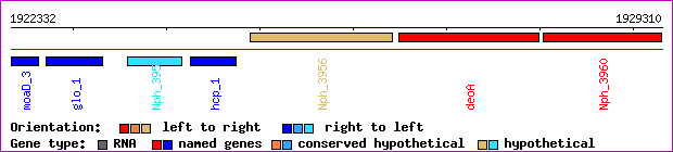 gene map