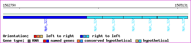 gene map