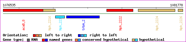 gene map