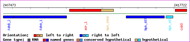 gene map