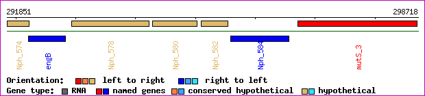 gene map