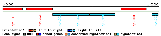 gene map