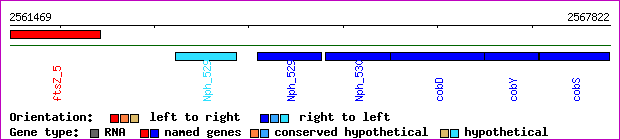gene map