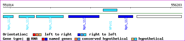 gene map
