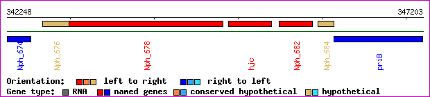 gene map