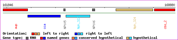gene map