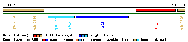gene map