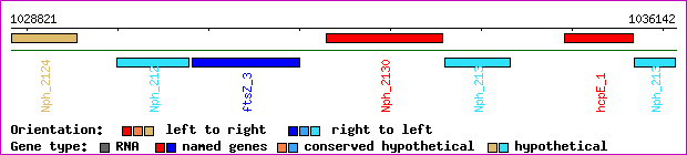 gene map