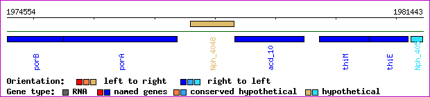 gene map