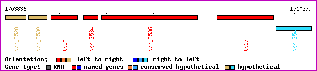 gene map