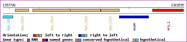 gene map