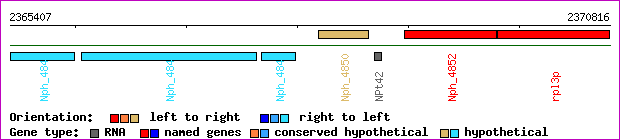 gene map
