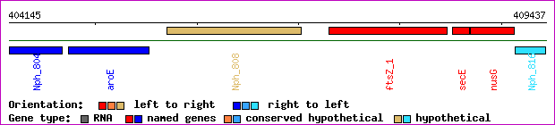 gene map