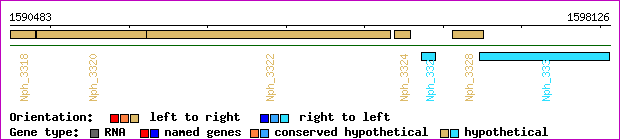 gene map