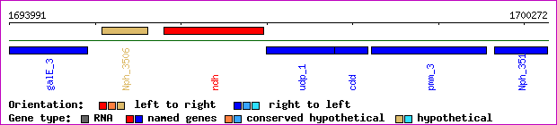gene map