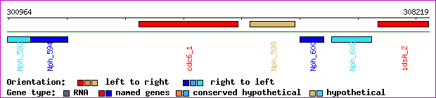 gene map