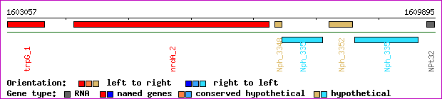 gene map