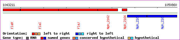 gene map