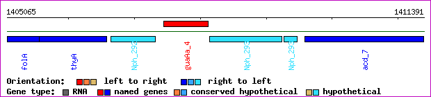 gene map