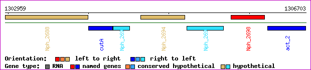 gene map