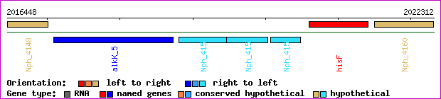 gene map
