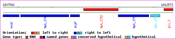 gene map