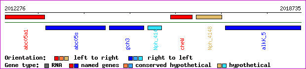 gene map