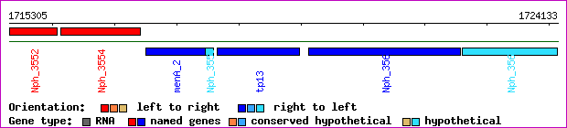 gene map