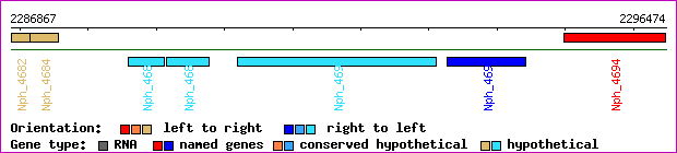 gene map