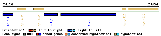 gene map