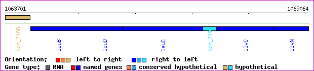 gene map