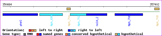 gene map