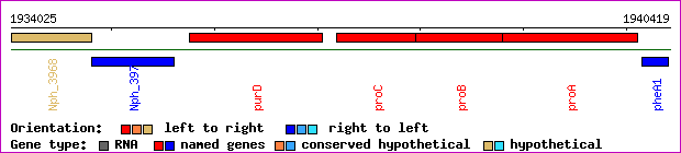 gene map