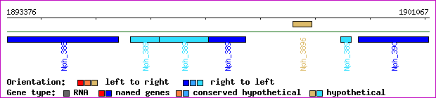 gene map