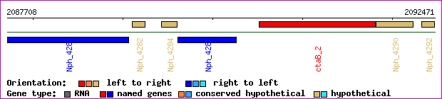 gene map