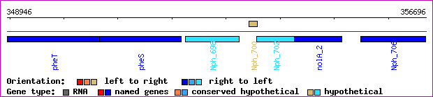 gene map