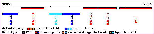 gene map