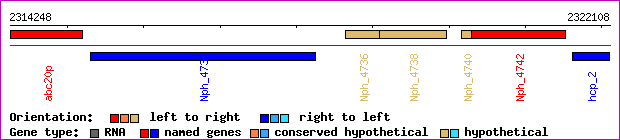 gene map