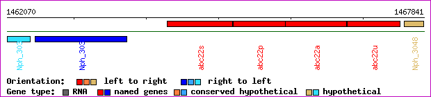 gene map