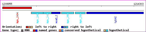 gene map