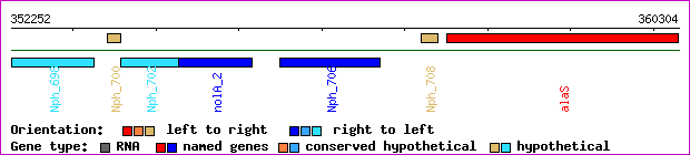 gene map